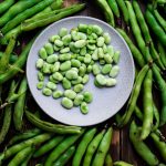 Fava Bean Gardening Seeds