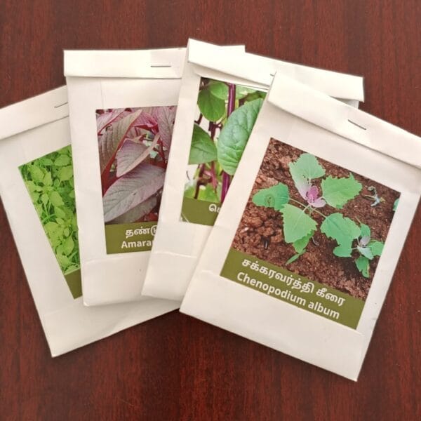 20 varieties Green Leafy Vegetable seeds