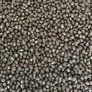 Native Black Gram Whole Seeds