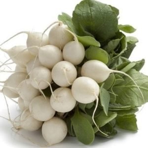 White Round Open Pollinated Radish Seeds