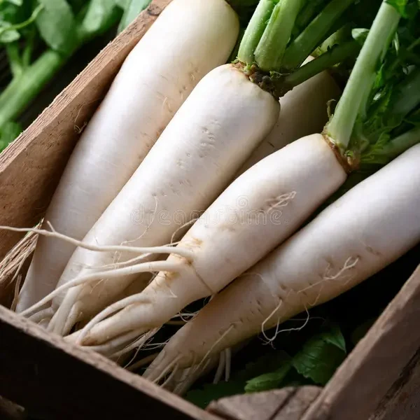 White Pusa Desi Radish seeds
