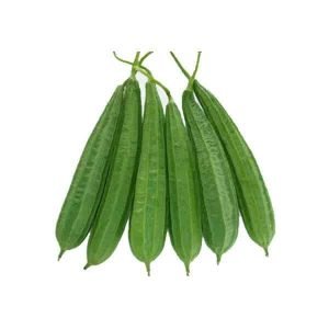 Ridge Gourd OP vegetable Seeds