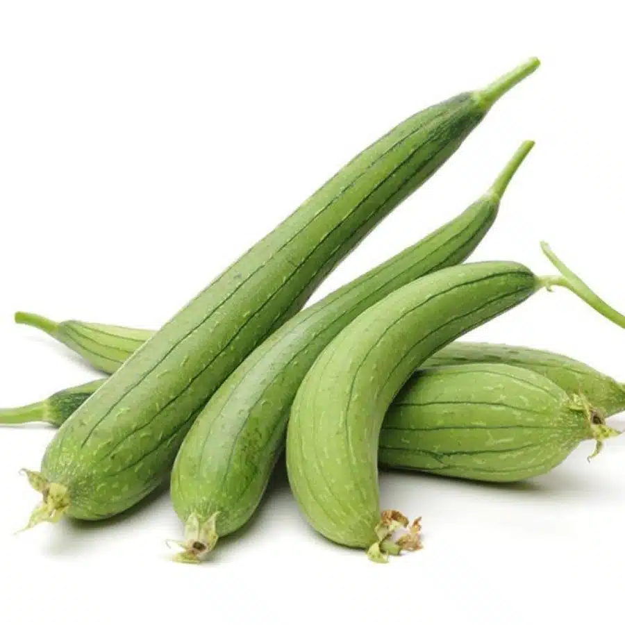 Spongegourd Medium vegetable Seeds