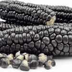 Indigenous Black Corn Seeds