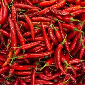 Guntur Chilli Open Pollinated seeds