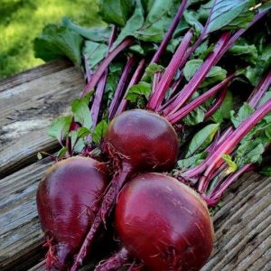 Open Pollinated Beetroot Ruby Queen Seeds