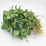 Arai Keerai Small leafy vegetable seeds