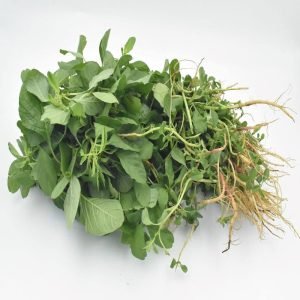 Arai Keerai Small leafy vegetable seeds