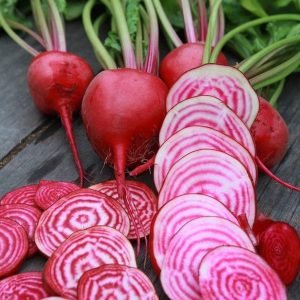 Heirloom Beetroot Candy Cane Seeds