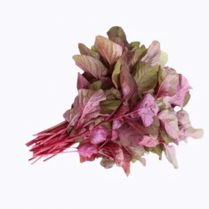 Red Thandukeerai Foxtail Amaranthus Seeds
