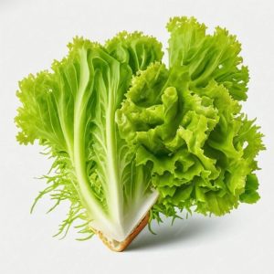 Heirloom Lettuce Green curled seeds