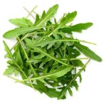 Rocket Salad Indian Herb Gardening seeds