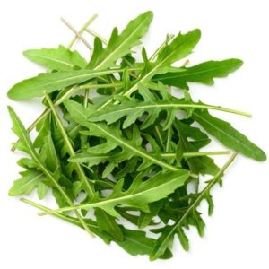 Rocket Salad Indian Herb Gardening seeds