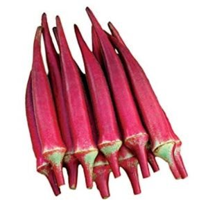 Candle Fire Okra Vegetable Garden seeds