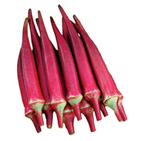 Candle Fire Okra Vegetable Garden seeds