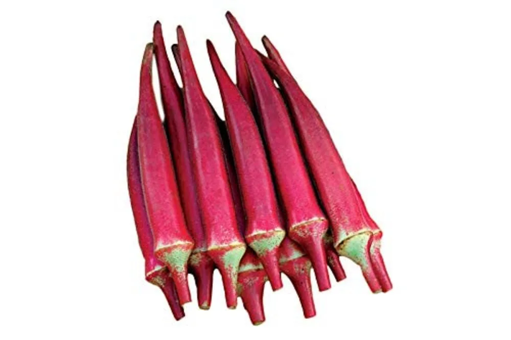 Candle Fire Okra Vegetable Garden seeds