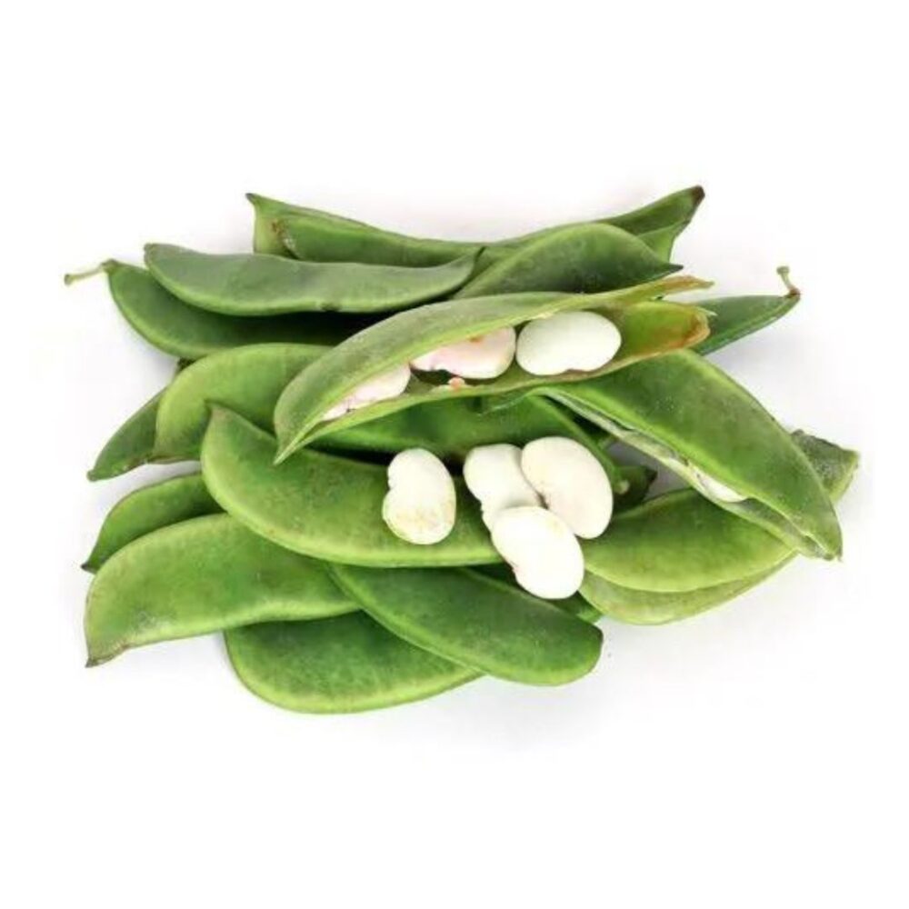 Double Beans White gardening seeds