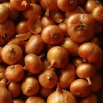 Orange Onion open pollinated seeds