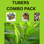 Native TUBERS Seeds Combo Pack