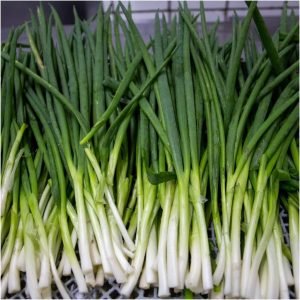 Spring Onion open pollinated Seeds
