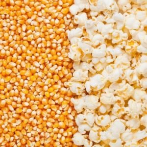 Native Popcorn Maize Seeds