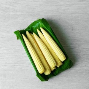 Heirloom Baby Corn Zea Mays Seeds