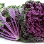 Kale Purple open pollinated seeds