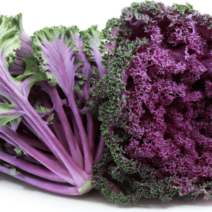 Kale Purple open pollinated seeds