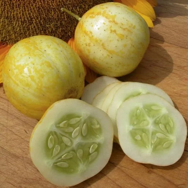 Native lemon cucumber seeds