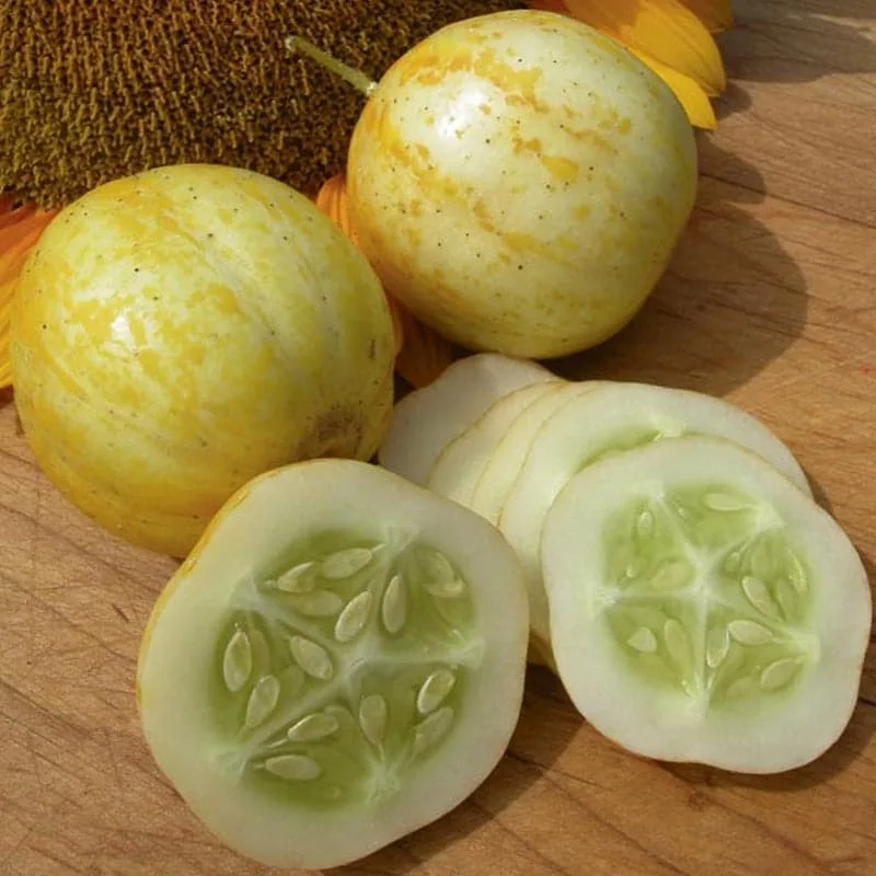 Native lemon cucumber seeds