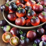 Indigo Rose open pollinated Tomato seeds
