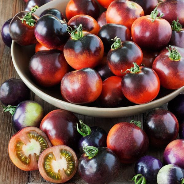 Indigo Rose open pollinated Tomato seeds
