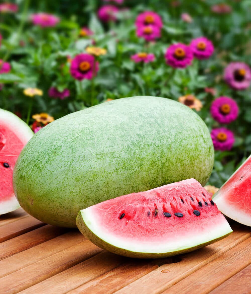 200 year old Heirloom Watermelon Tharupitchaikaai Seeds