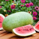 200 year old Heirloom Watermelon Tharupitchaikaai Seeds