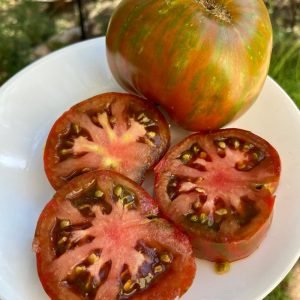 Heirloom Large Barred Boar Tomato Seeds