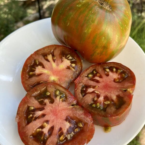 Heirloom Large Barred Boar Tomato Seeds