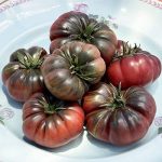 Anti-oxidant Rich Black Ribbed Tomato Seeds