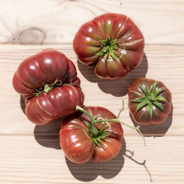 Rare Heirloom Purple Calabash Tomato seeds