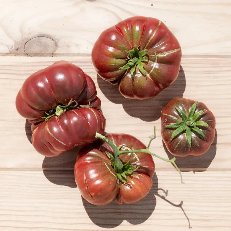 Rare Heirloom Purple Calabash Tomato seeds