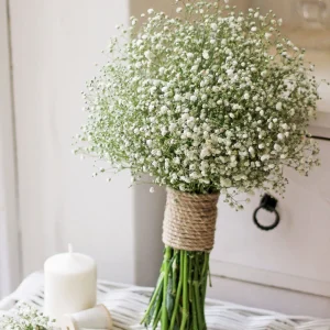 Gypsophila White Flower Seeds–Babys Breath-Ideal for Bouquets and Borders