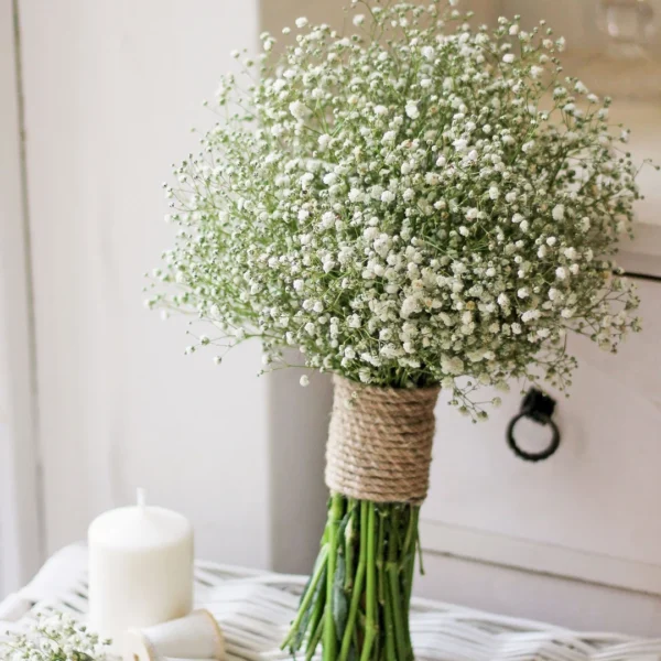 Gypsophila White Flower Seeds–Babys Breath-Ideal for Bouquets and Borders