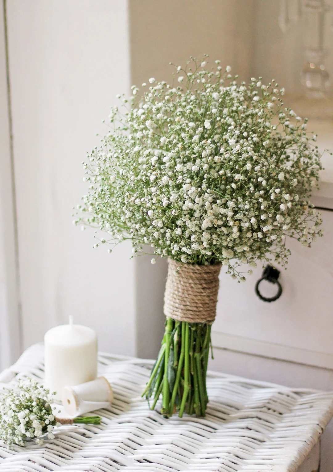Gypsophila White Flower Seeds–Babys Breath-Ideal for Bouquets and Borders