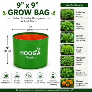 9x9 HDPE Grow Bag for Herbs & Kitchen Gardening | Hooga Seeds
