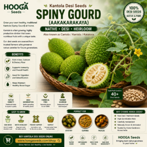 Kantola Desi Seeds / Spiny Gourd (Aakakarakaya / Cantola seeds) Native seeds