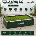 6x4x1 Ft HDPE Azolla Grow Bed | Premium Azolla Cultivation Bed | Hooga Seeds