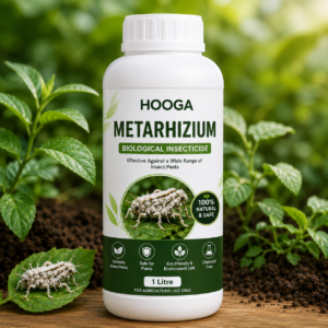 Metarhizium 1 Litre | Metarhizium Anisopliae Bio Insecticide | HOOGA Seeds