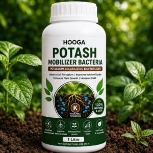 Potash Mobilizer Bacteria 1 Litre | KSB Biofertilizer | HOOGA Seeds