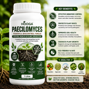 Paecilomyces 1 Litre | Bio-Nematicide for Root-Knot Nematodes | HOOGA Seeds
