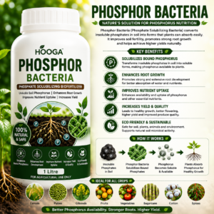 Phospho Bacteria 1 Litre | PSB Phosphate Solubilizing Biofertilizer | HOOGA Seeds