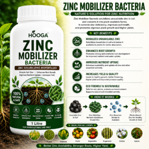 Zinc Mobilizer Bacteria 1 Litre | ZSB Biofertilizer for Plants | HOOGA Seeds